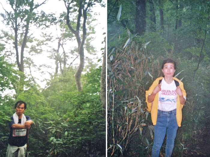 photo16深い森の中を登る