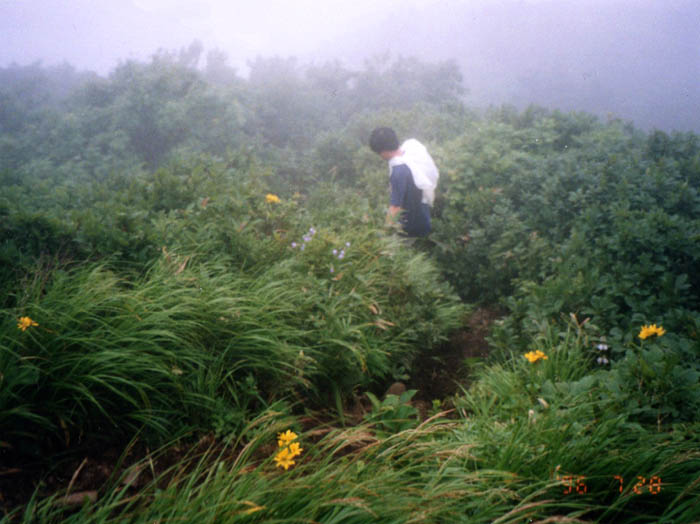 photo22下りは速い