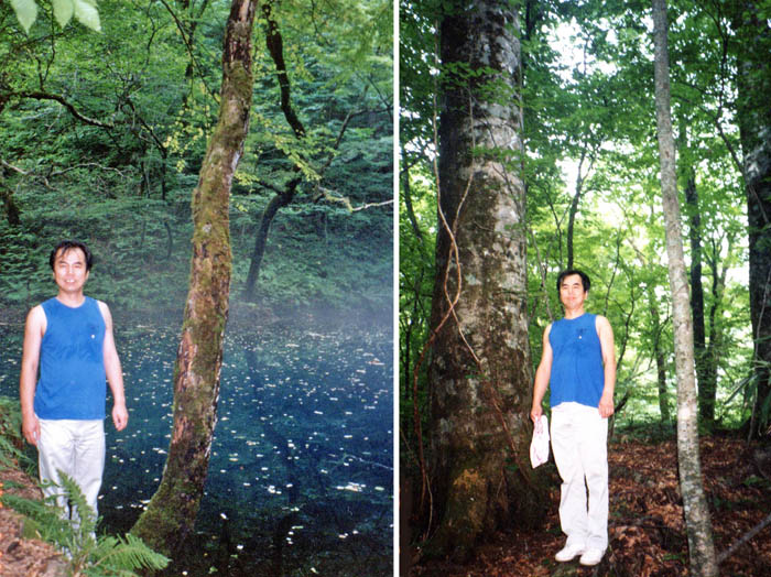 photo8青池とブナ原生林