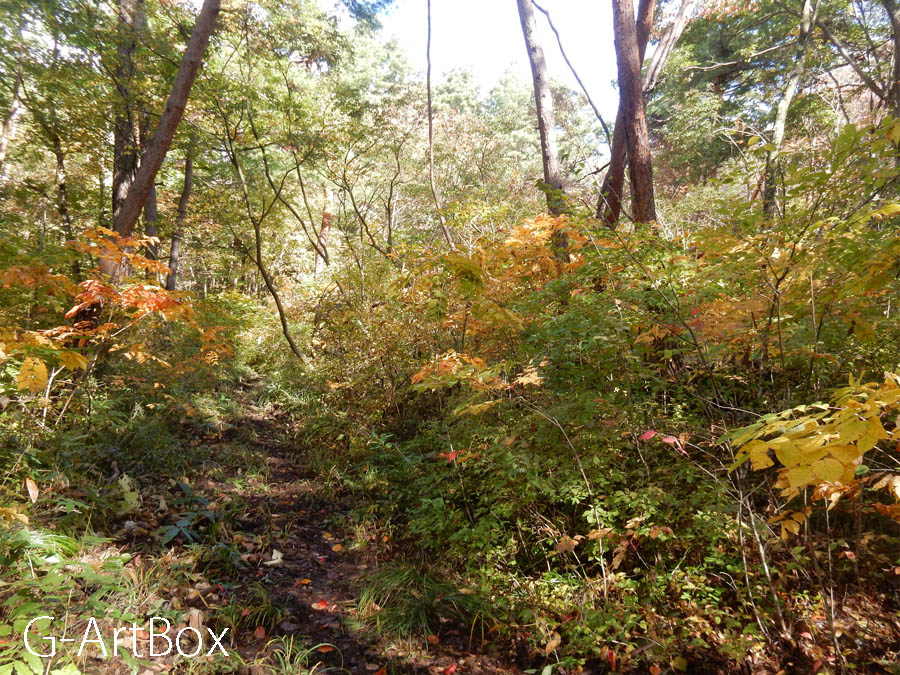 photo・紅葉が進んでいます