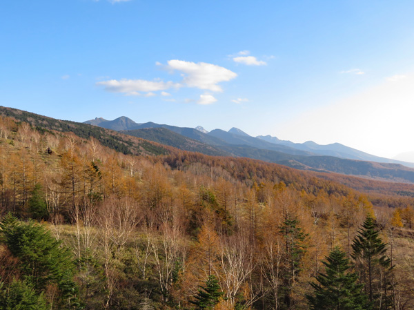photo・蓼科山