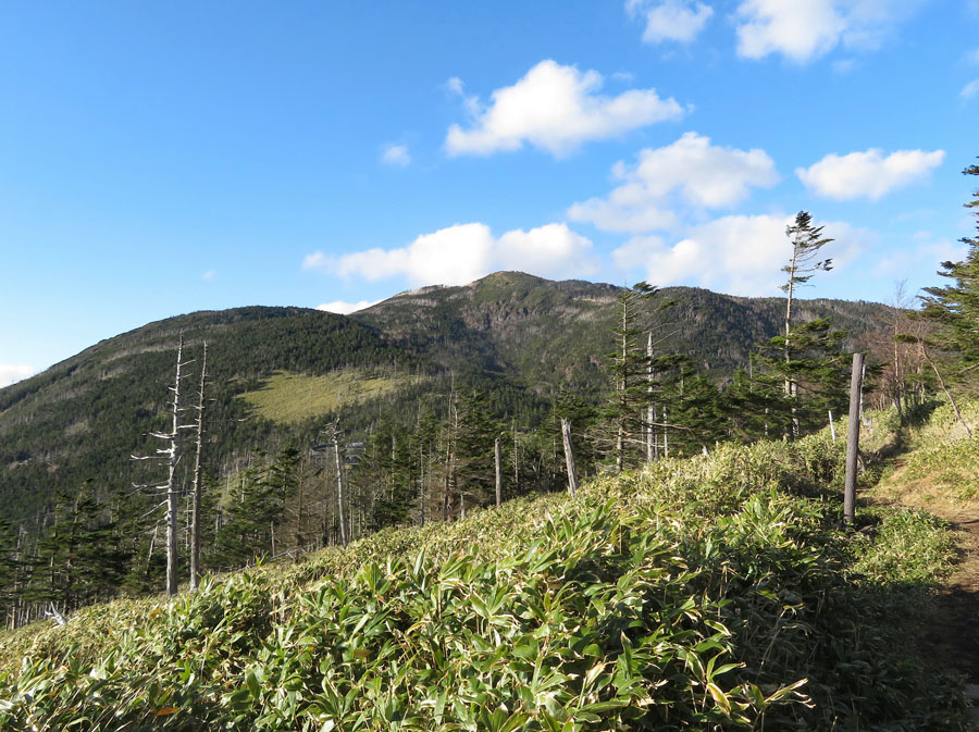 photo・北横岳