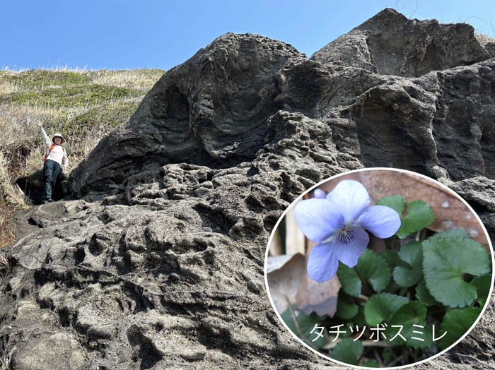 photo：赤羽根海岸：城ヶ島