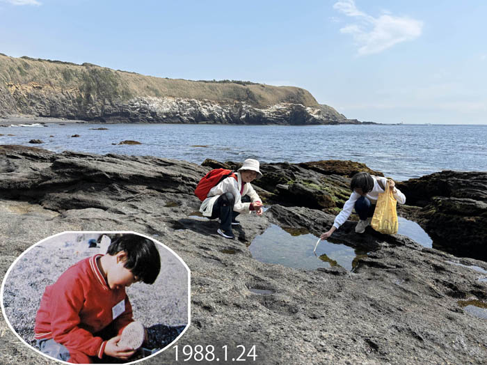 photo：つい夢中になる磯遊び：城ヶ島