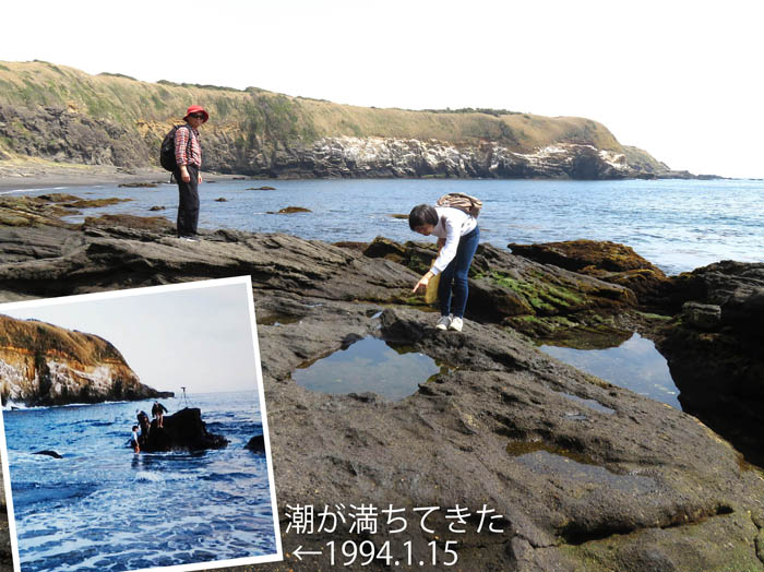 photo：今も昔も磯は楽しい：城ヶ島