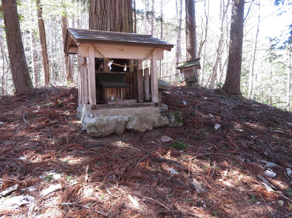 photo：居谷里神社の祠に挨拶：居谷里湿原