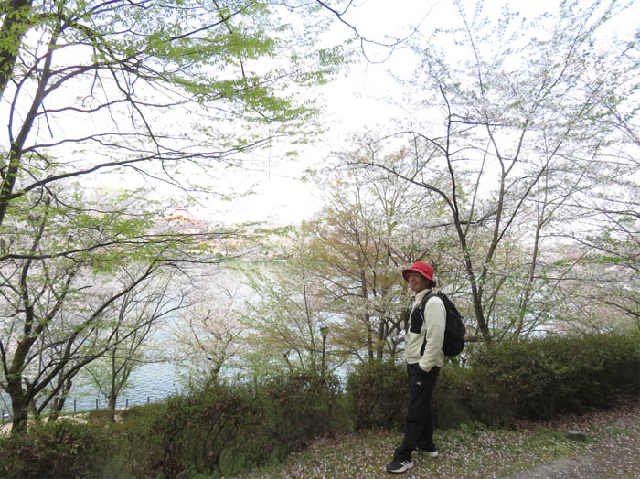 photo：桜霞だ：臥竜山