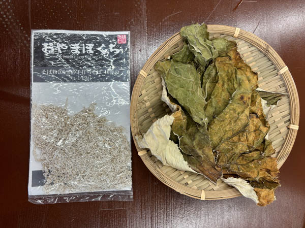 photo・オヤマボクチ
