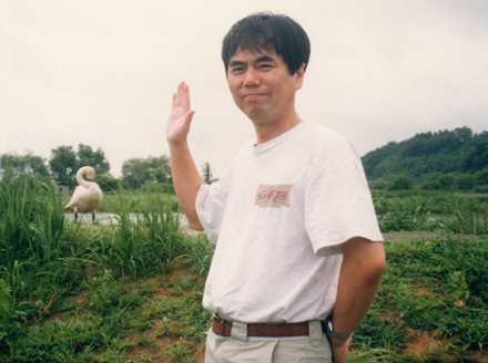 伊豆沼・居残りの白鳥