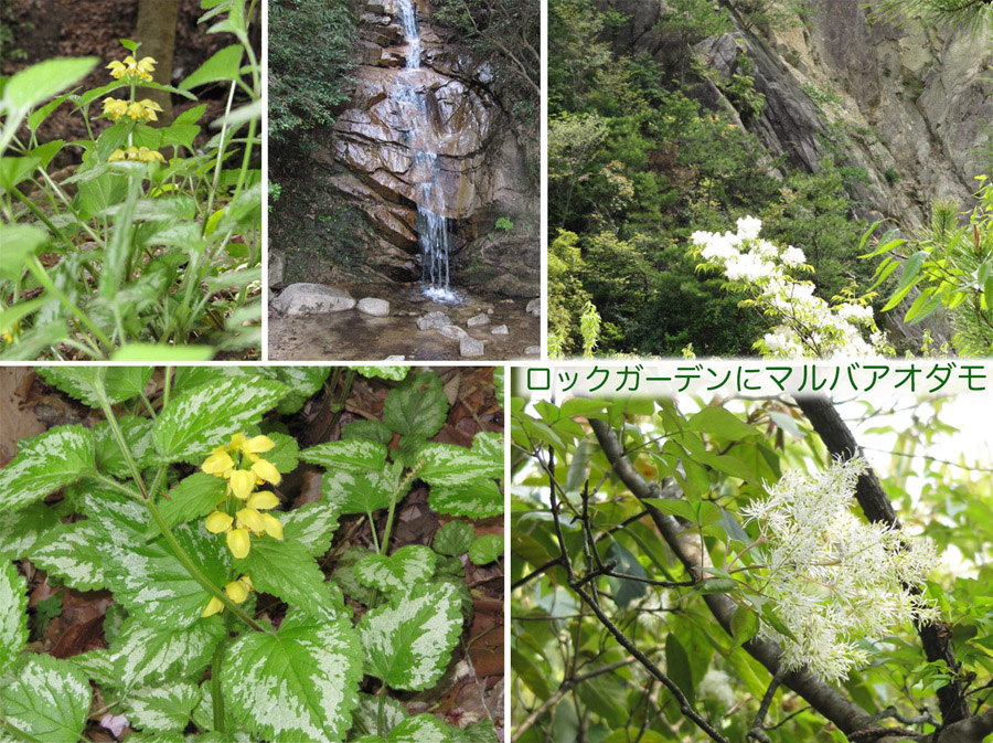 高座滝