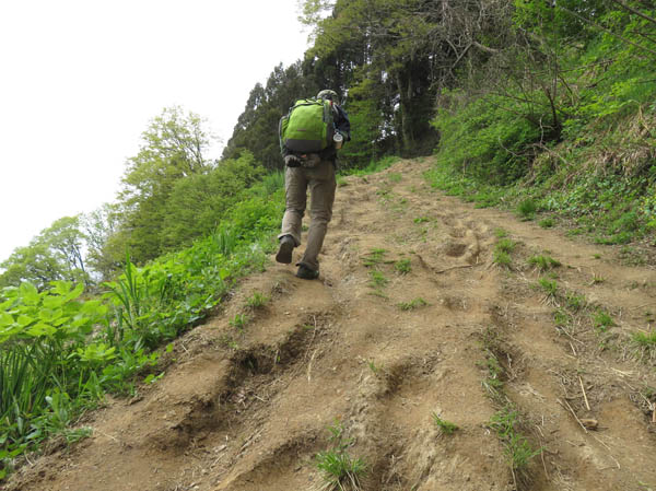 photo：急道：城山
