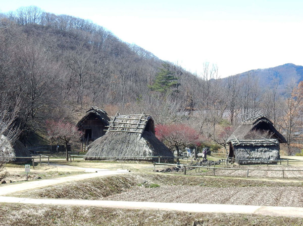 photo：復元された科野のムララ