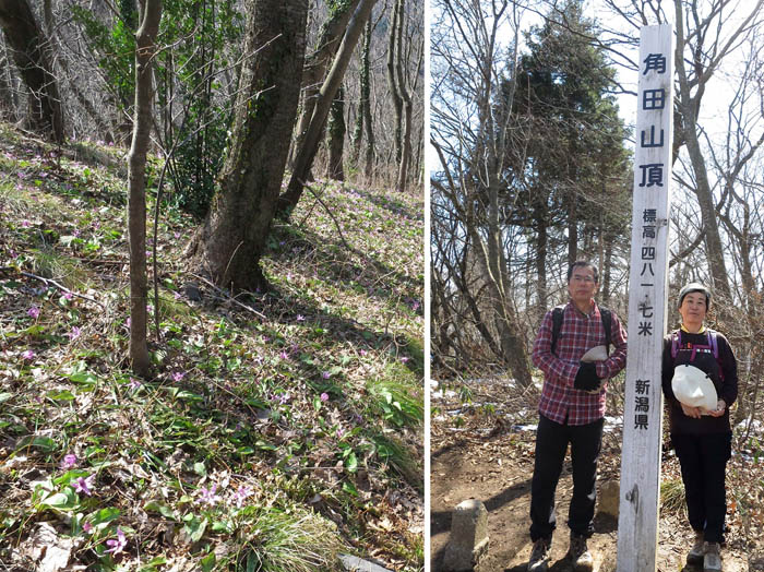 花の山：角田山