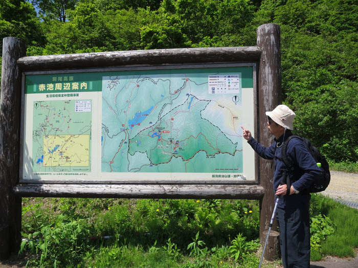 赤池案内板