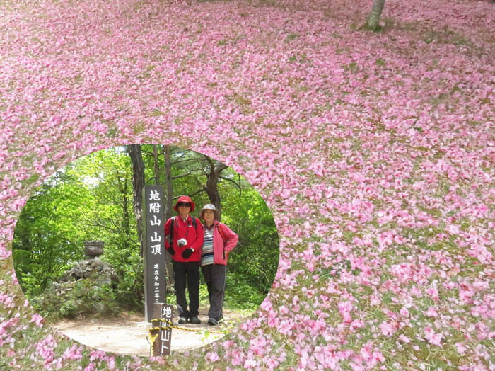 photo：八重桜：地附山 