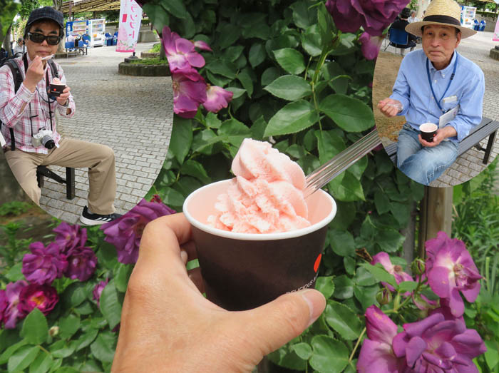 photo：甘酸っぱいバラソフト：中野一本木公園 