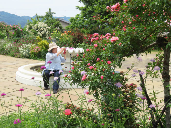 photo：イングリッシュガーデンで：中野一本木公園 