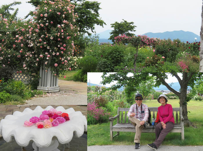 photo：イングリッシュガーデンで：中野一本木公園 