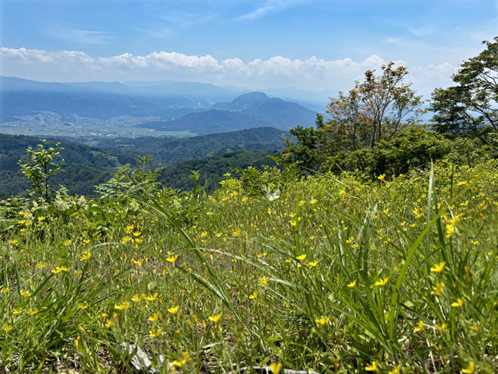 毛無山山頂付近から高社山
