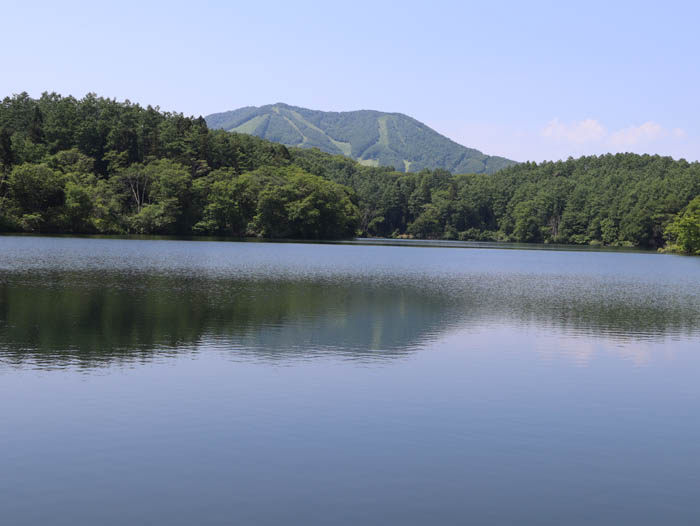毛無山山頂付近から高社山