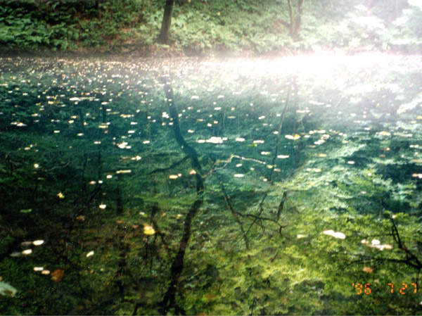 photo・青池