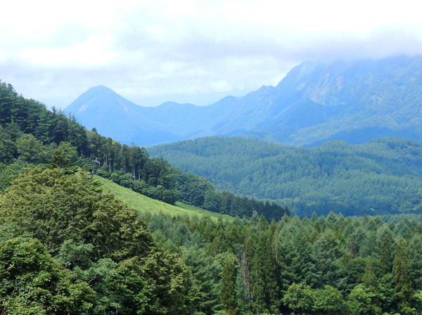 photo・一夜山  2019.7.17瑪瑙山より
