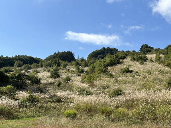 峰方諏訪社