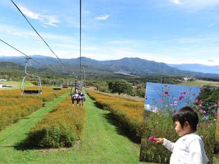 photo お花がいっぱい