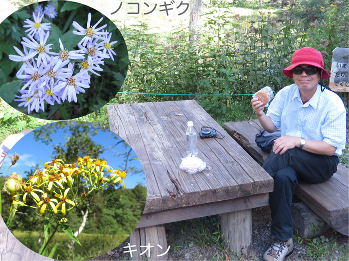 photo 花咲く水辺で朝ご飯・みどりが池