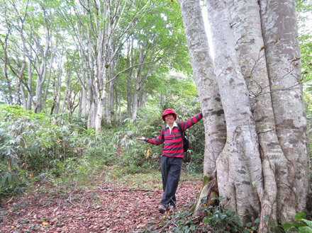 photo ブナ林を越えて袴岳山頂へ