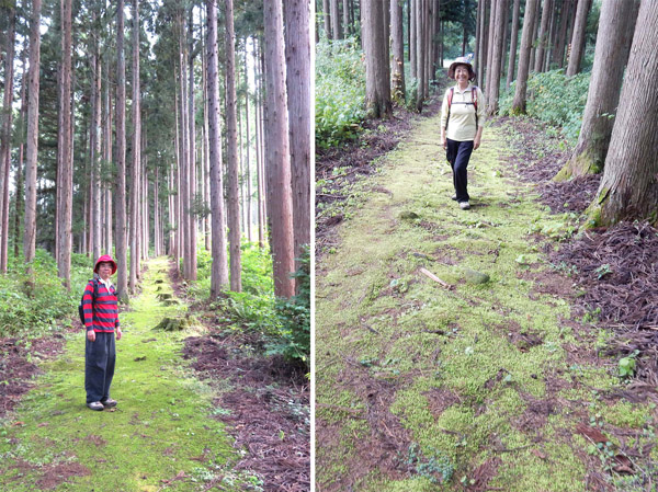 photo 苔むす緑の道を登って降りて・・・