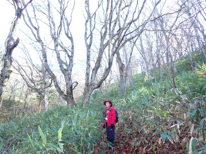 photo1木の葉が落ちた森：瑪瑙山