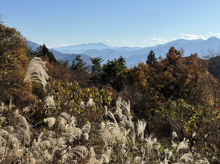 photo遠く、蓼科山が見える：茶臼山 