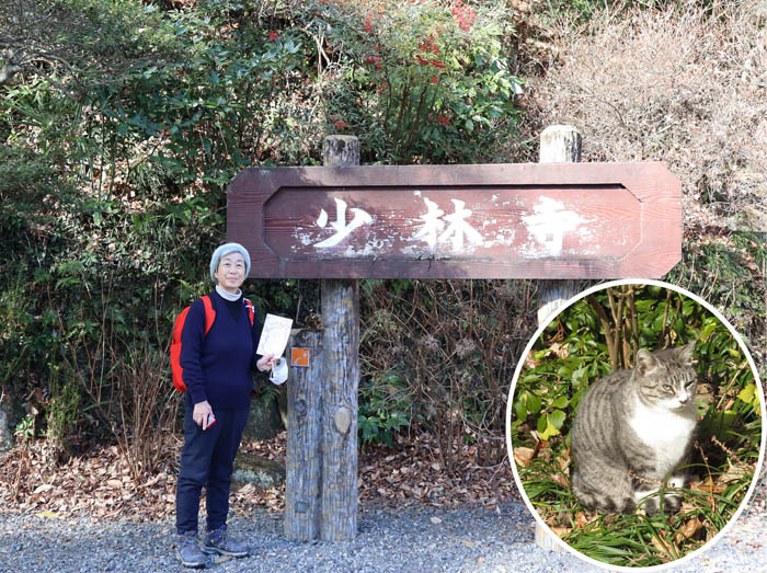 photo：猫さんがお出迎え　少林寺
