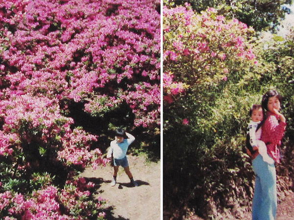 photo 山頂のツツジ 1981.5.5