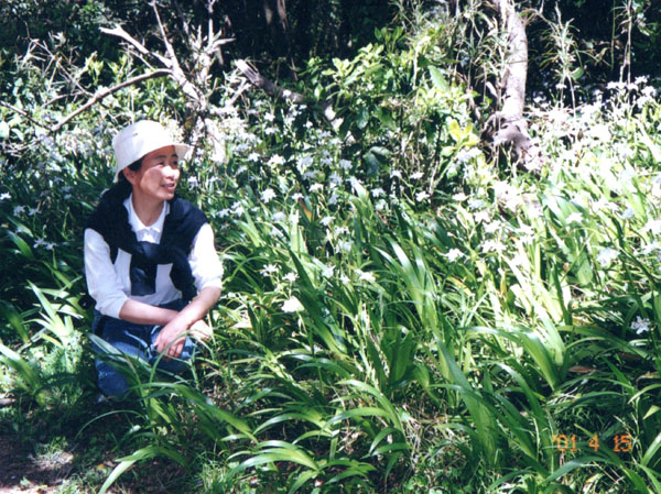 photo 満開のシャガ2001.4.15