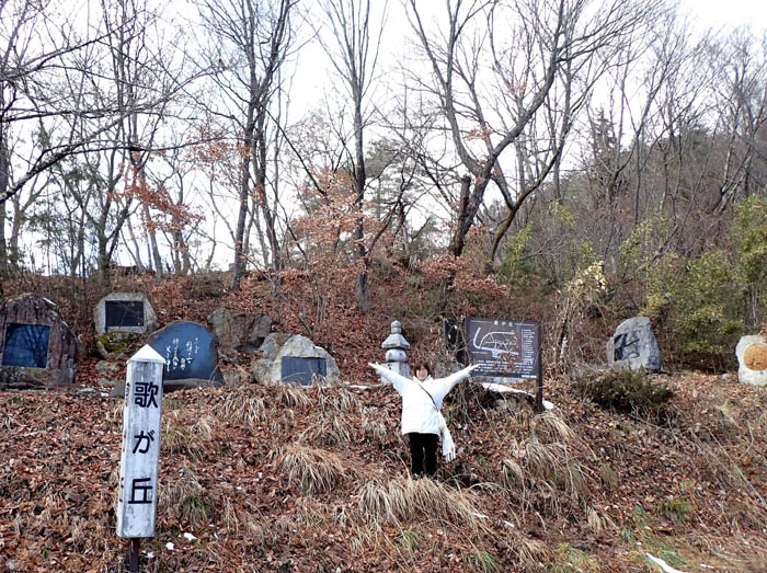 photo6ここが歌が丘 