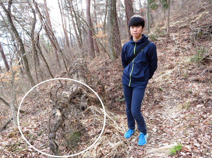 photo10ここから野兎が飛び出した