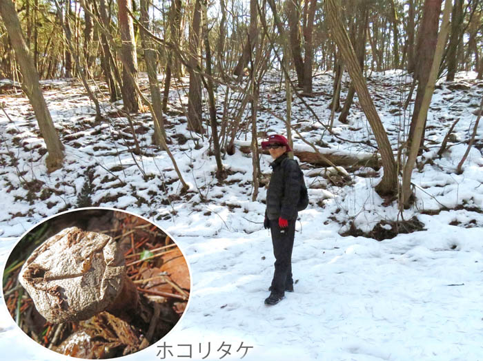 photo16日陰の道は白い：地附山 
