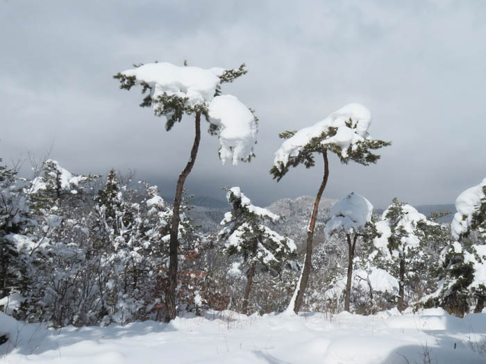 photo21飯縄山は全く見えない：地附山 