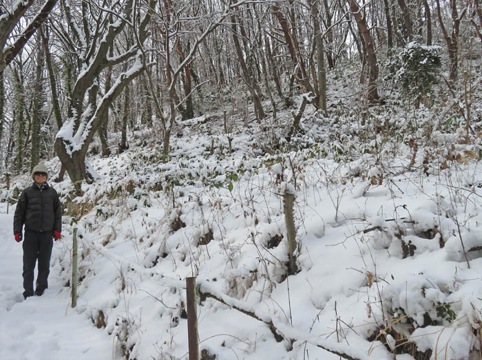photo3結構積もったね：地附山 