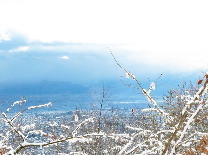 photo4山は雲の中：地附山 