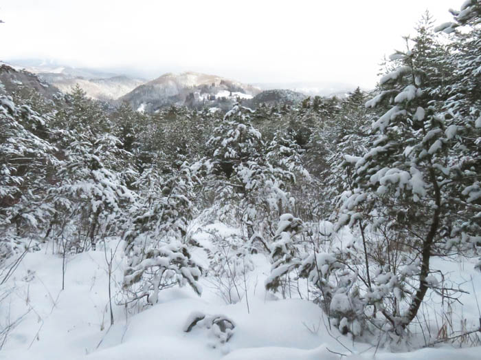photo9スキー場跡には雪が多い0131：地附山 