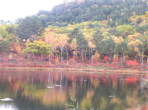 photo・岩菅山山麓の紅葉