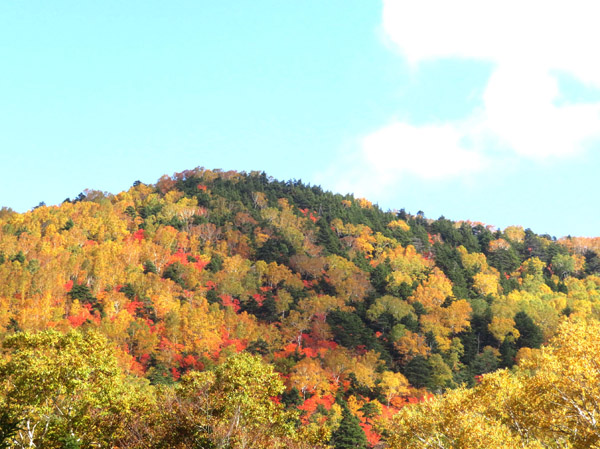 photo・東館山方面の山