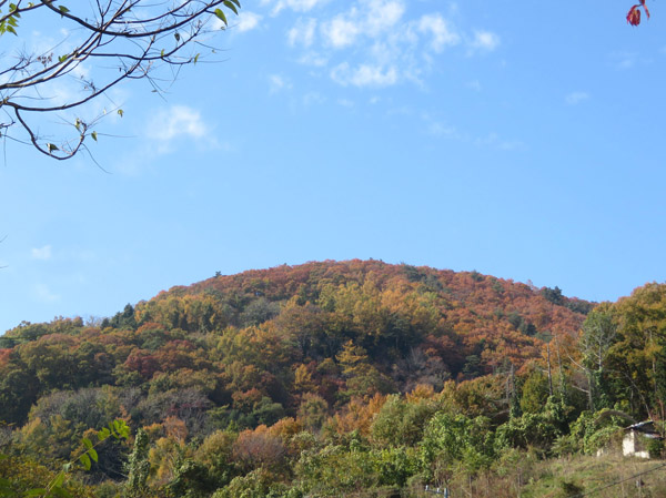 photo・山容・三笠山