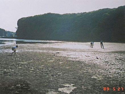 photo　夕暮れの干潟で遊ぶ