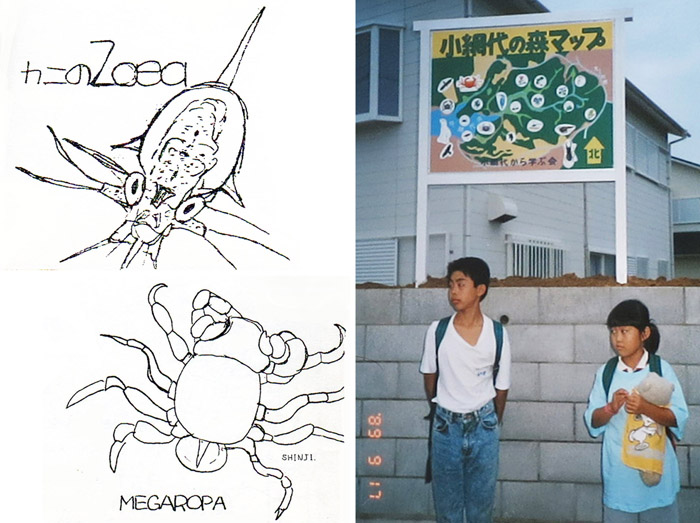 photo　アカテガニの幼生 (あるいてみたら・・・）