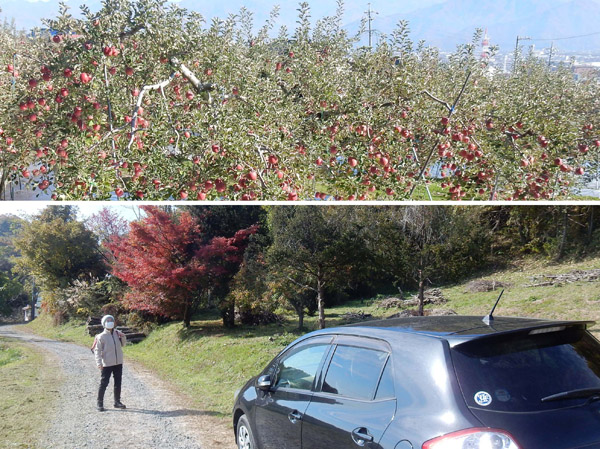 photo　リンゴ畑の脇に駐車 三笠山登山