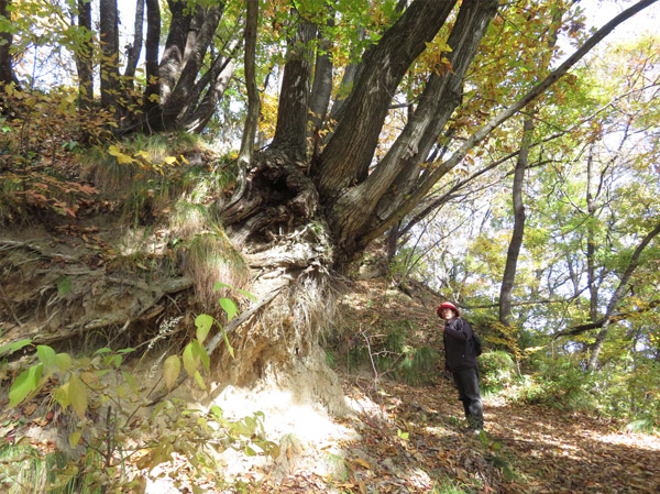 photo　登山道で 三笠山